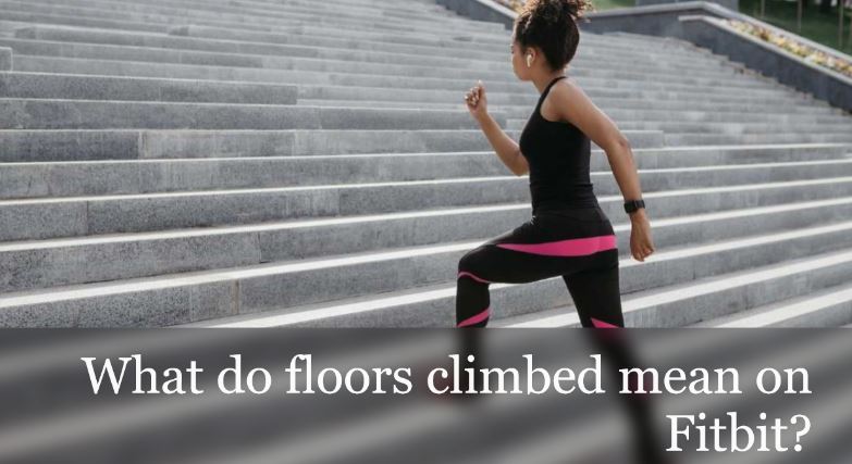 Fitbit Floors Climbed