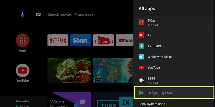 Play Store on TCL smart tv