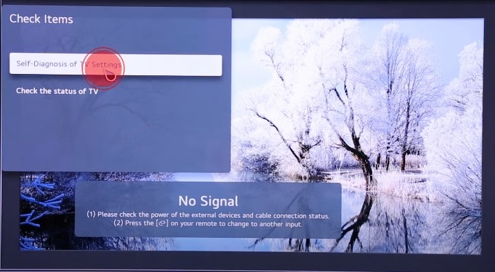 Run LG TV Self-Diagnosis