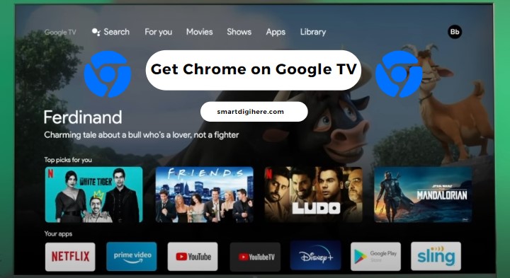 Get Chrome on Google TV