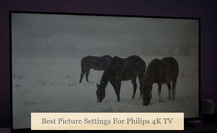 Picture Settings For Philips 4K TV
