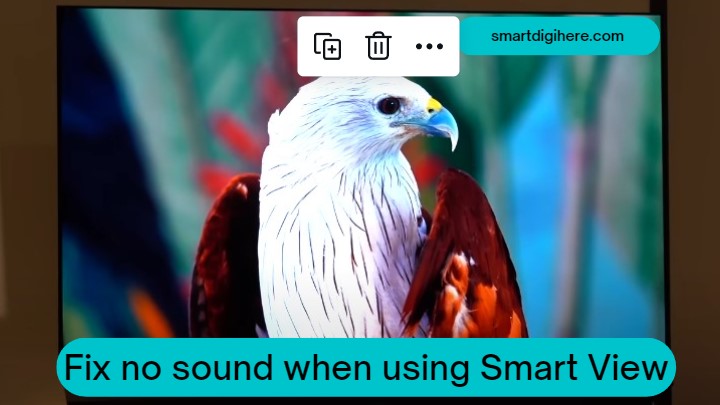 no sound when using Smart View
