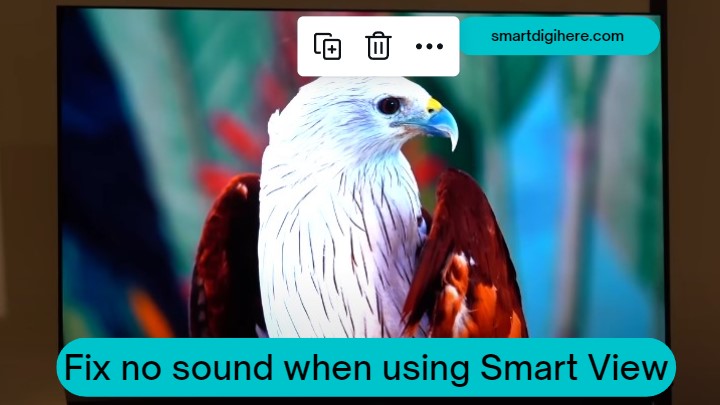 no sound when using smart view