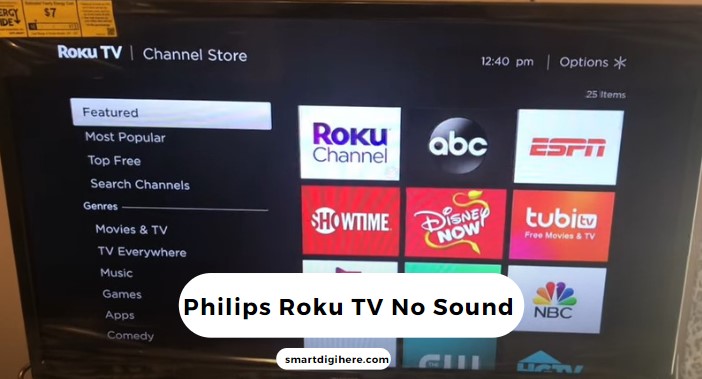 fix philips roku tv no sound