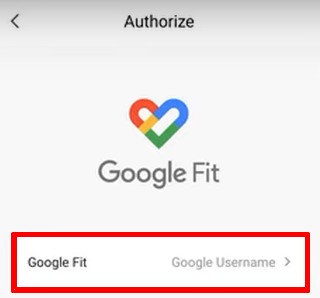 sync Zepp Data to Google Fit